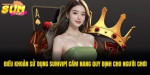 điều khoản sử dụng Sumvip