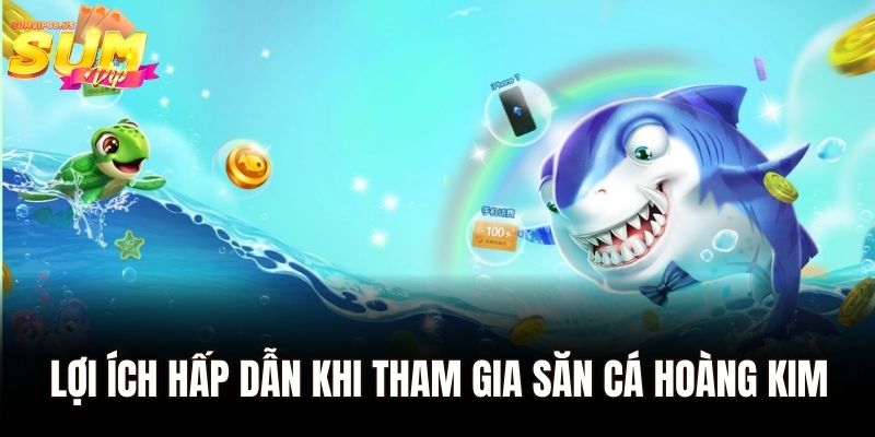 Lợi ích hấp dẫn khi tham gia săn cá hoàng kim