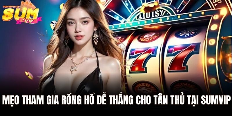 Mẹo tham gia Rồng Hổ dễ thắng cho tân thủ tại Sumvip