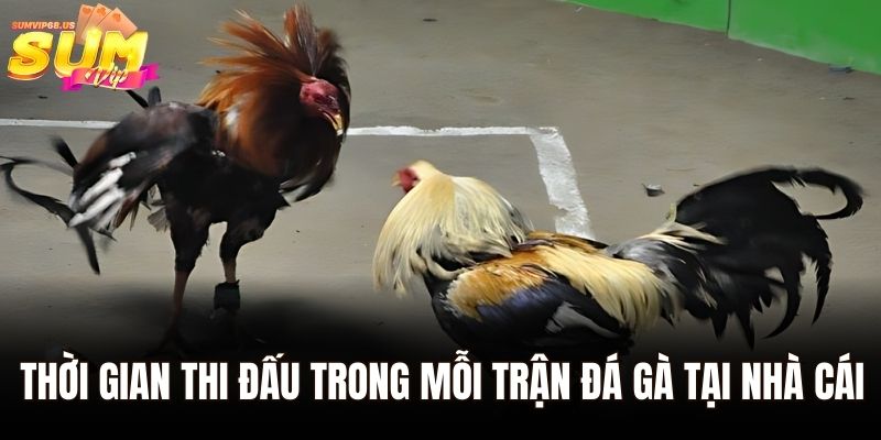 Thời gian thi đấu trong mỗi trận đá gà tại nhà cái