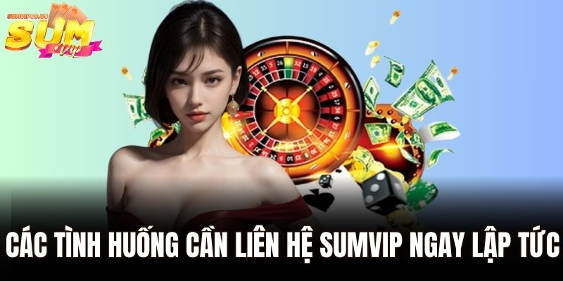 Các tình huống cần liên hệ Sumvip ngay lập tức