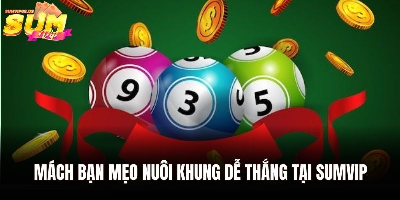 Mách bạn mẹo nuôi khung dễ thắng tại Sumvip