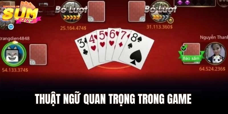 Thuật ngữ quan trọng trong game của nhà cái Sumvip